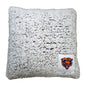 Chicago Bears Frosty Throw Pillow