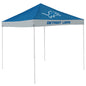 Detroit Lions Economy Canopy