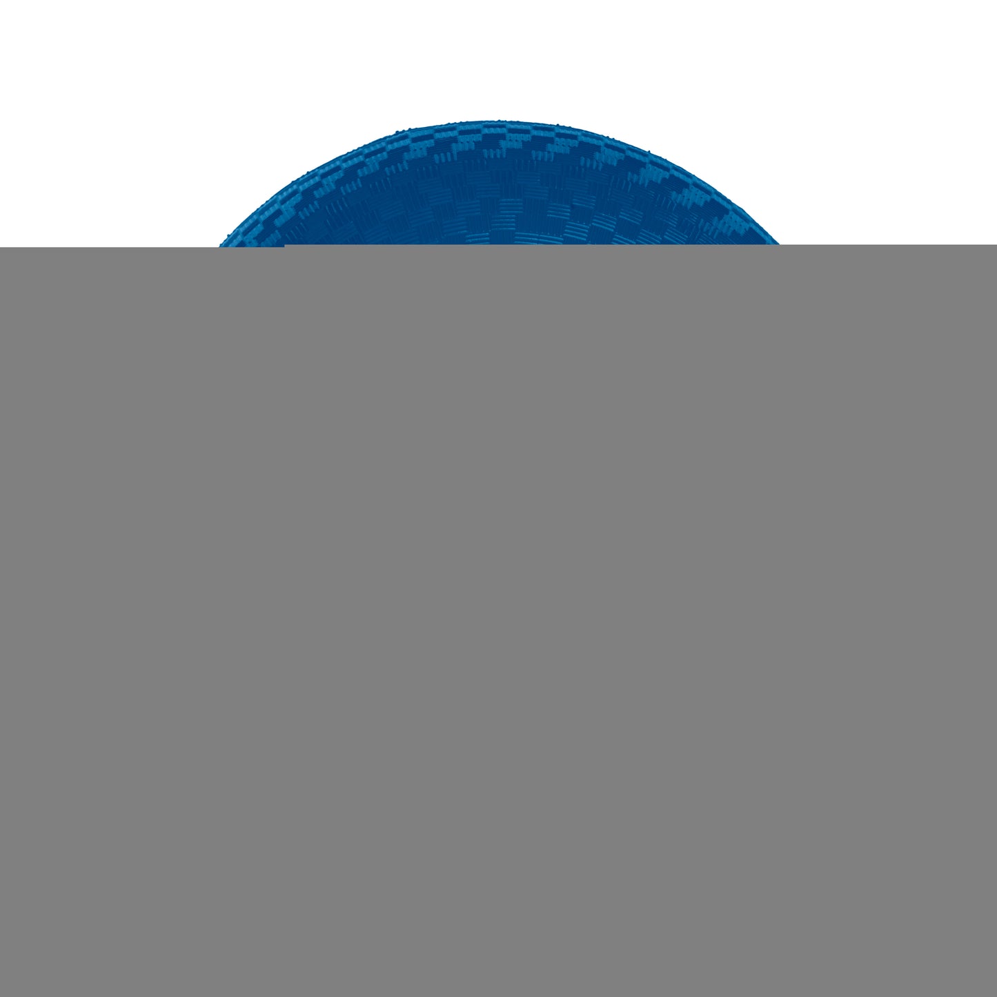 Detroit Lions 8.5in Kickball