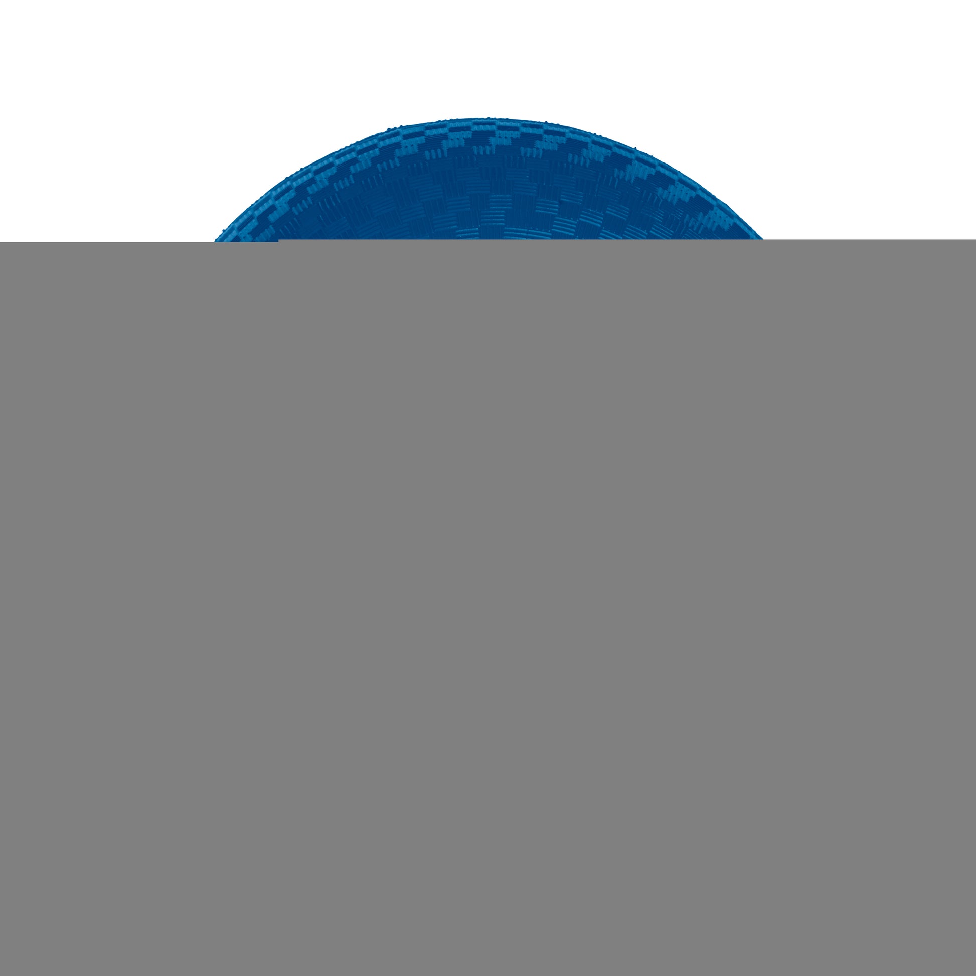 Detroit Lions 8.5in Kickball