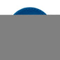 Detroit Lions 8.5in Kickball