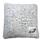 Philadelphia Eagles Frosty Throw Pillow