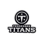 NFL - Tennessee Titans Plastic Chrome Emblem