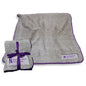 Northwestern Evanston Frosty Fleece