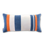 Auburn University Colors Throw Pillow Cover