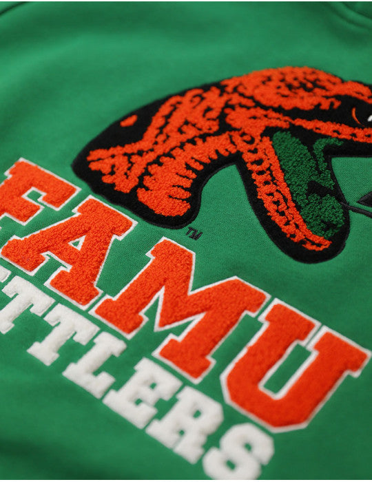 FAMU_03-540x700w