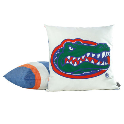 Florida Gators Hammock Chair Swing