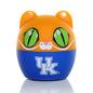 Kentucky Wildcats