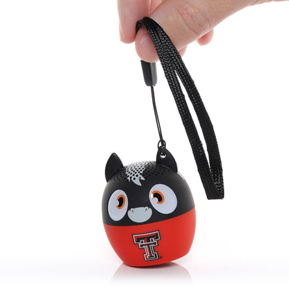 Texas Tech Red Raiders