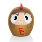 USC Trojans