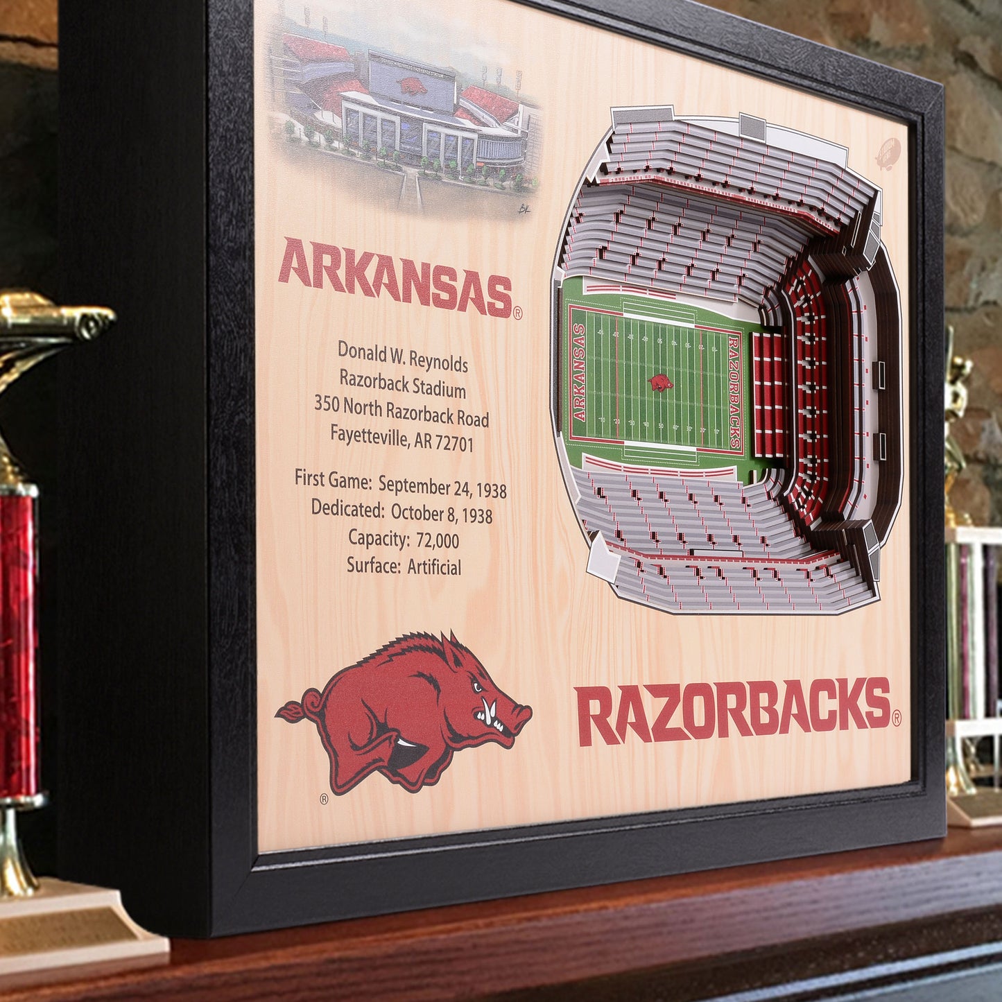 NCAA Arkansas Razorbacks 25-Layer StadiumView Wallart