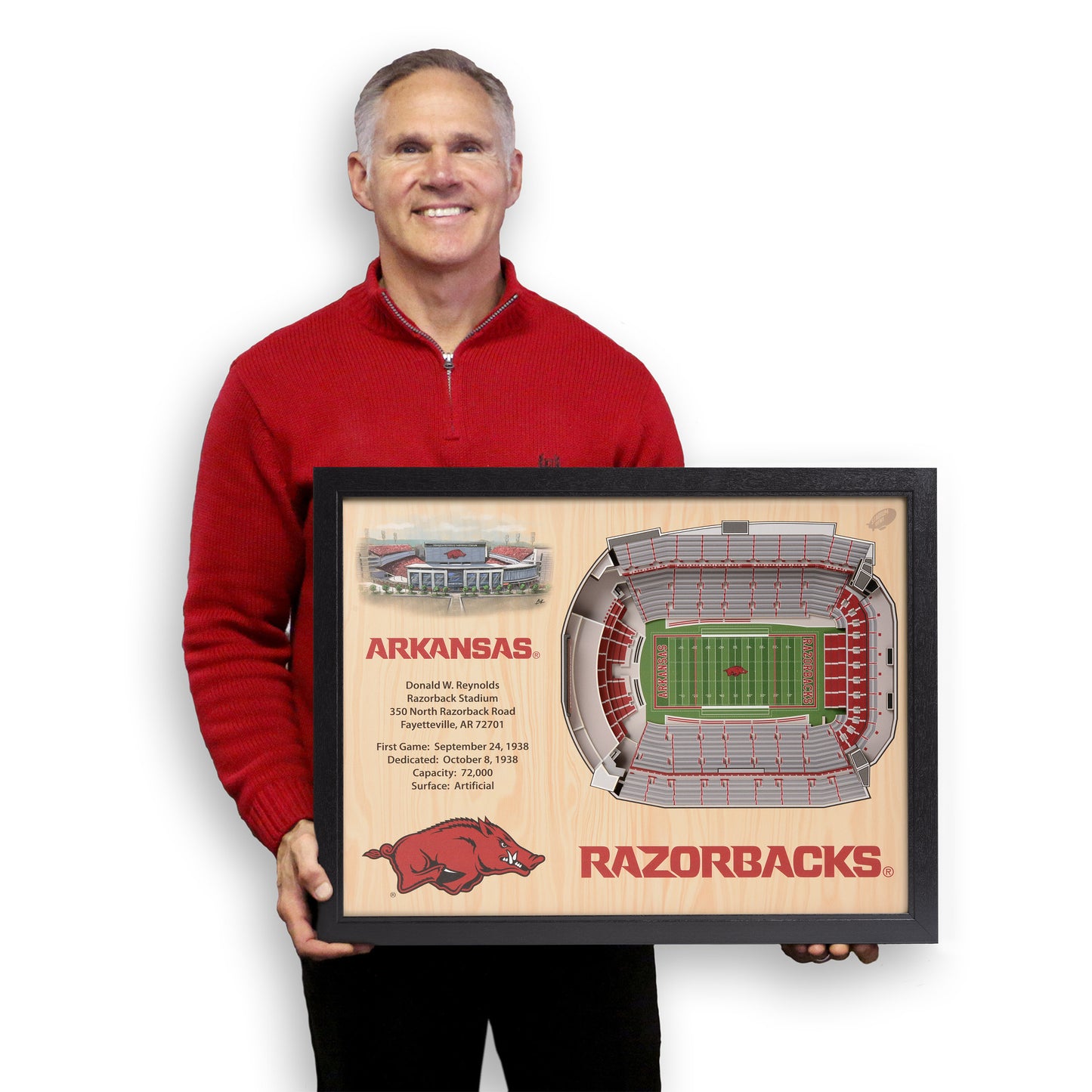 NCAA Arkansas Razorbacks 25-Layer StadiumView Wallart