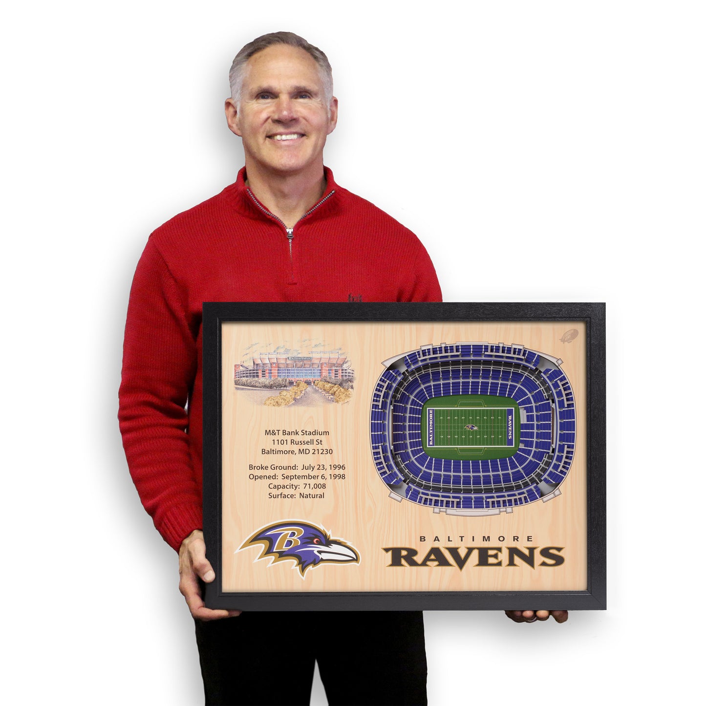 NFL Baltimore Ravens 25-Layer StadiumView Wallart