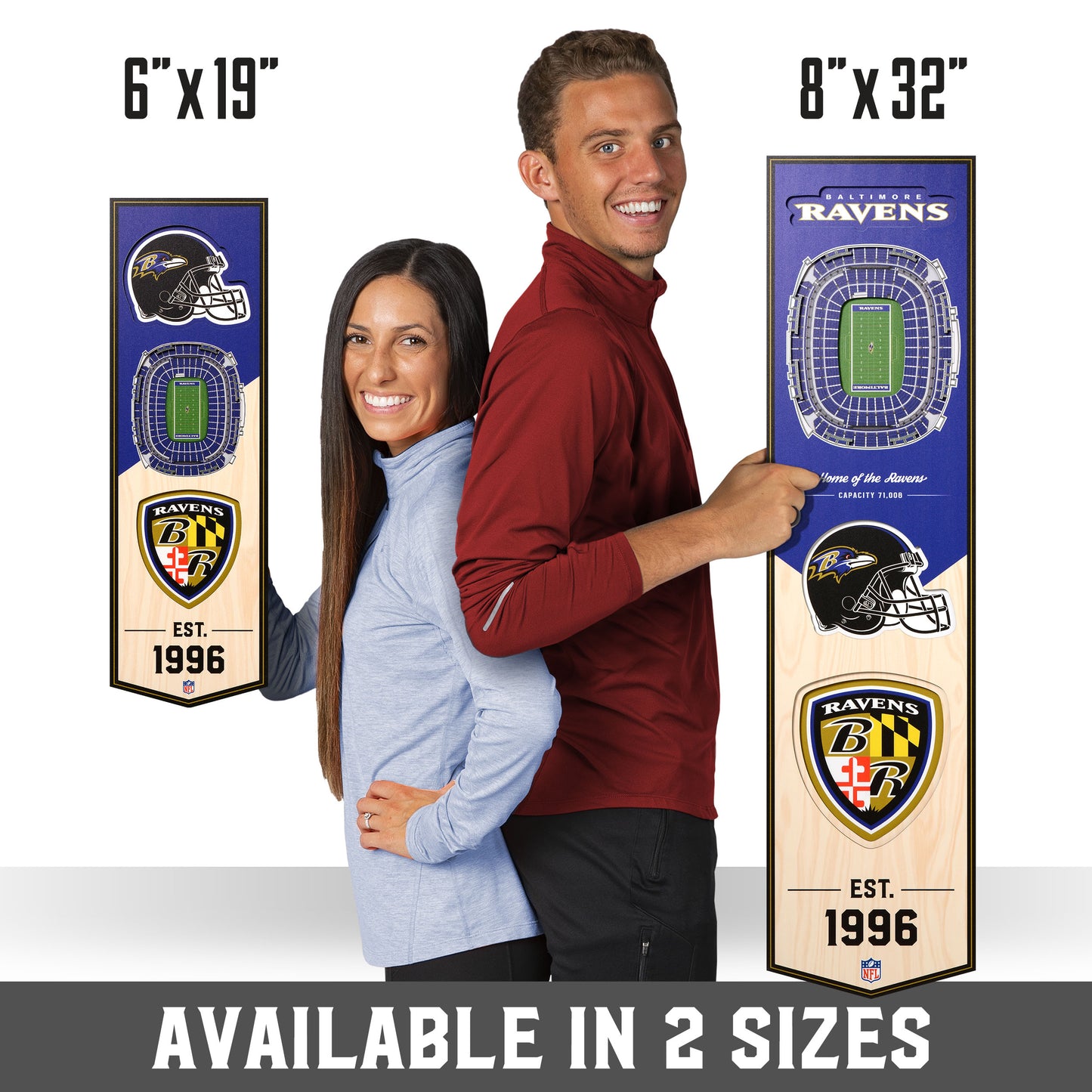 NFL Baltimore Ravens 3D Stadium Banner 8' X 32'