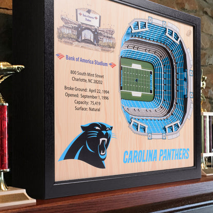 NFL Carolina Panthers 25-Layer StadiumView Wallart