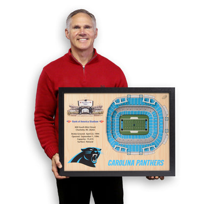 NFL Carolina Panthers 25-Layer StadiumView Wallart