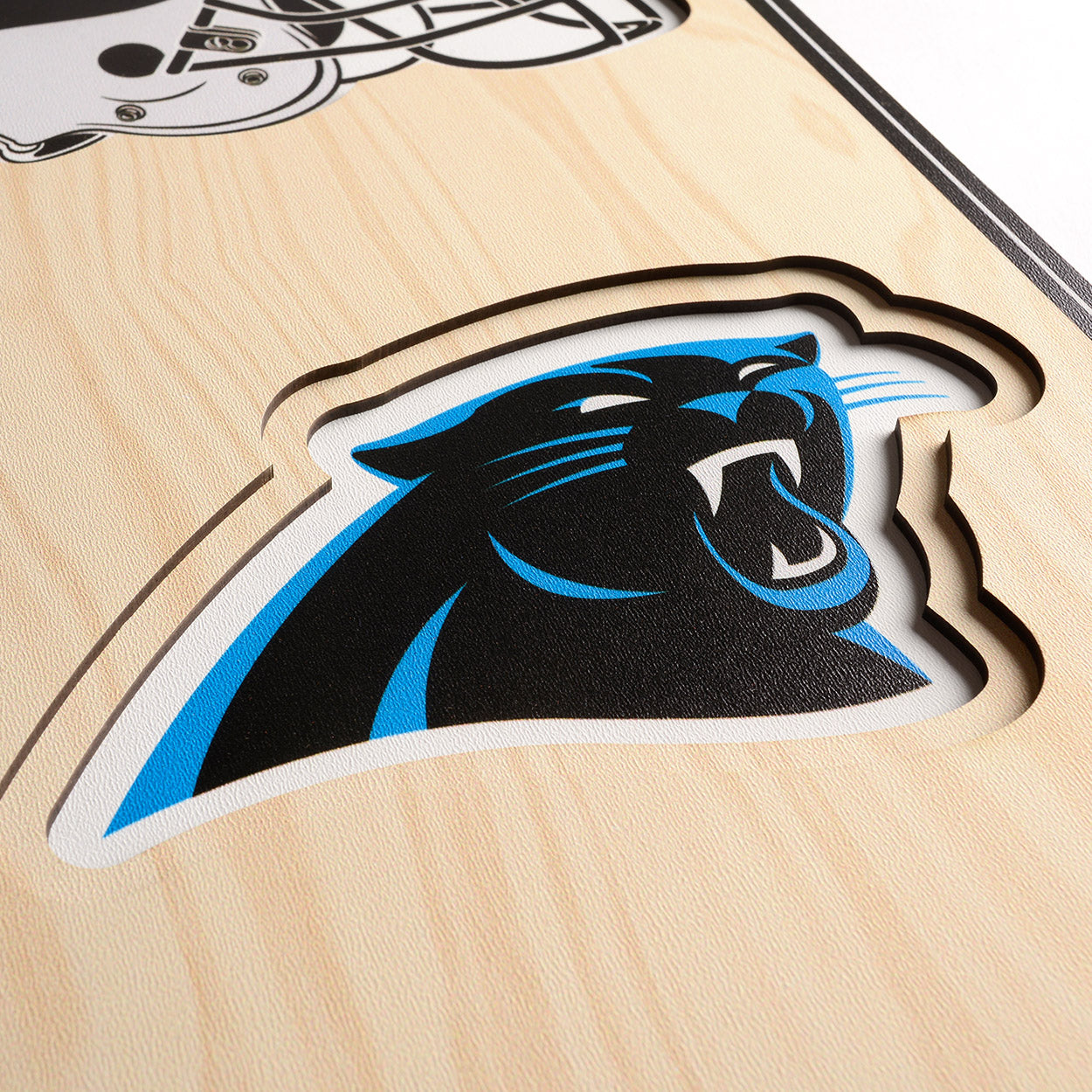 NFL Carolina Panthers 3D Stadium Banner 8' X 32'