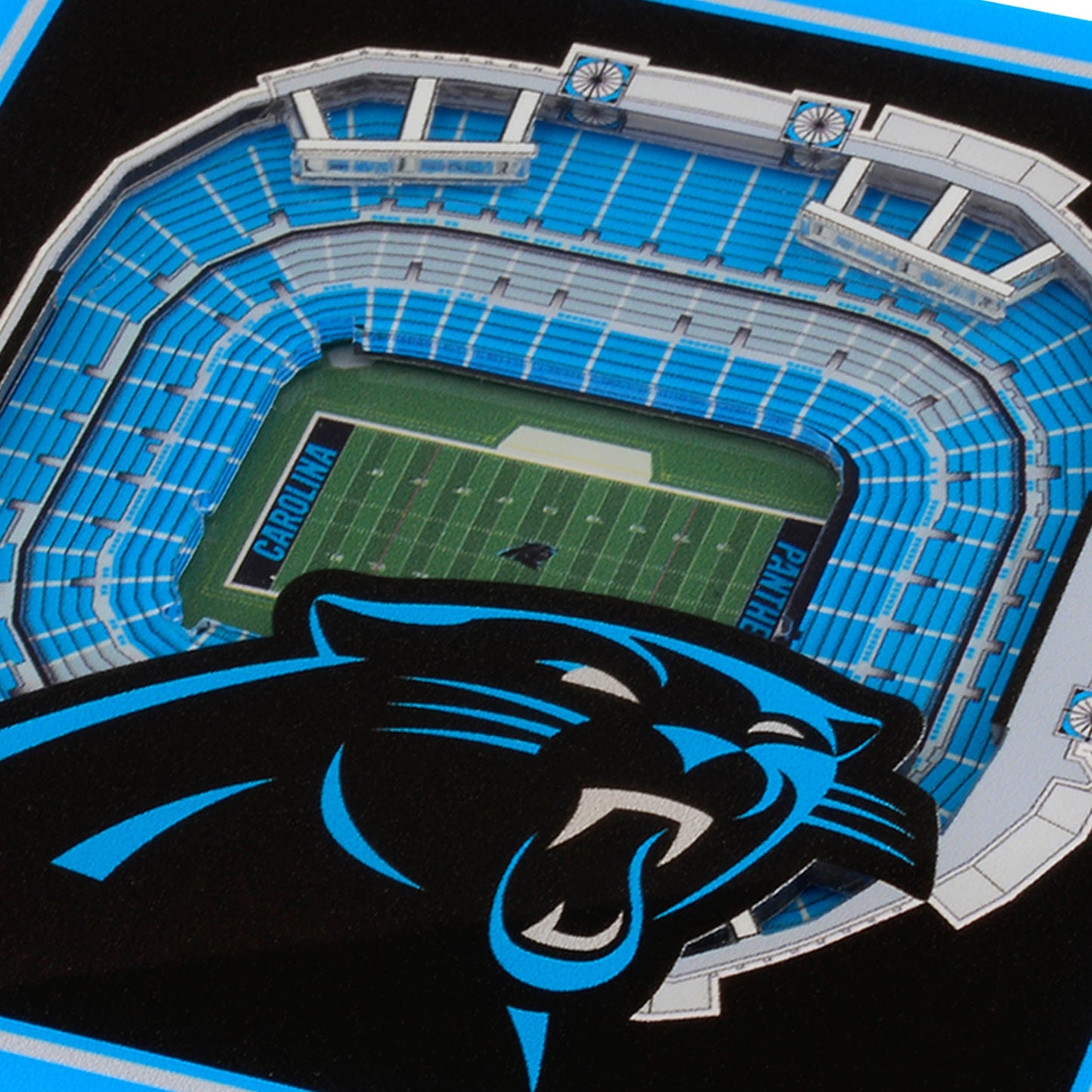 NFL Carolina Panthers StadiumView Cribbage Game