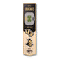 NCAA Central Florida Knights 3D Stadium Banner 8' X 32'