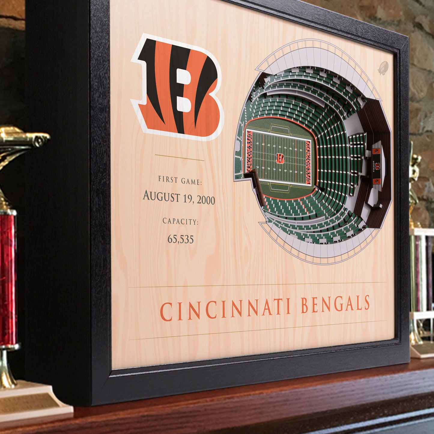 NFL Cincinnati Bengals 25-Layer StadiumView Wallart