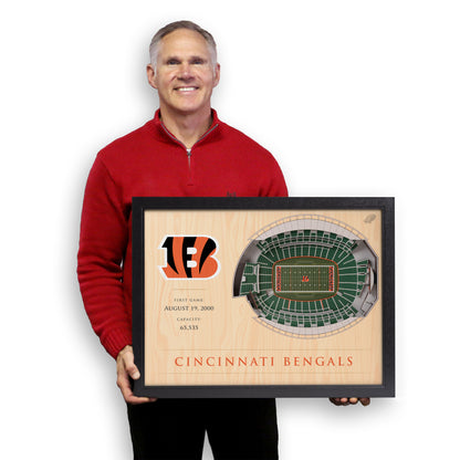 NFL Cincinnati Bengals 25-Layer StadiumView Wallart
