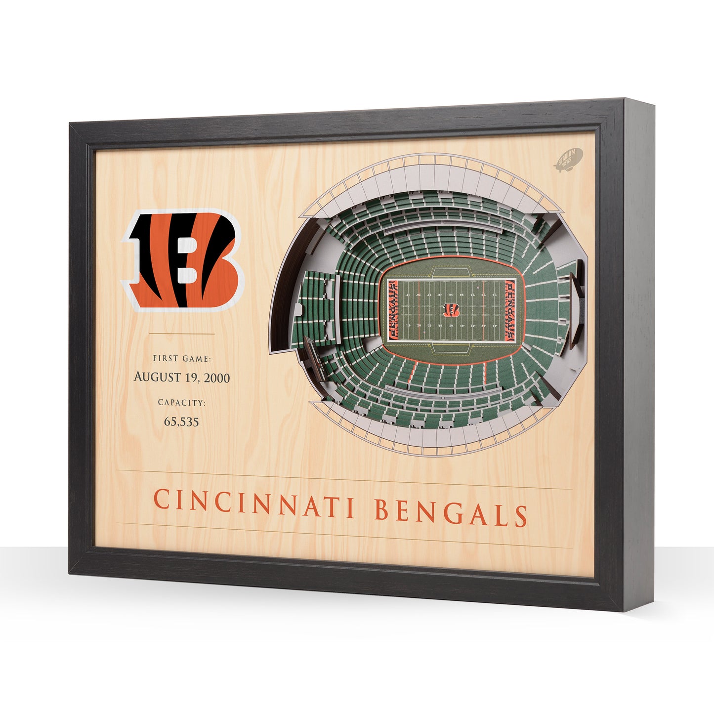 NFL Cincinnati Bengals 25-Layer StadiumView Wallart