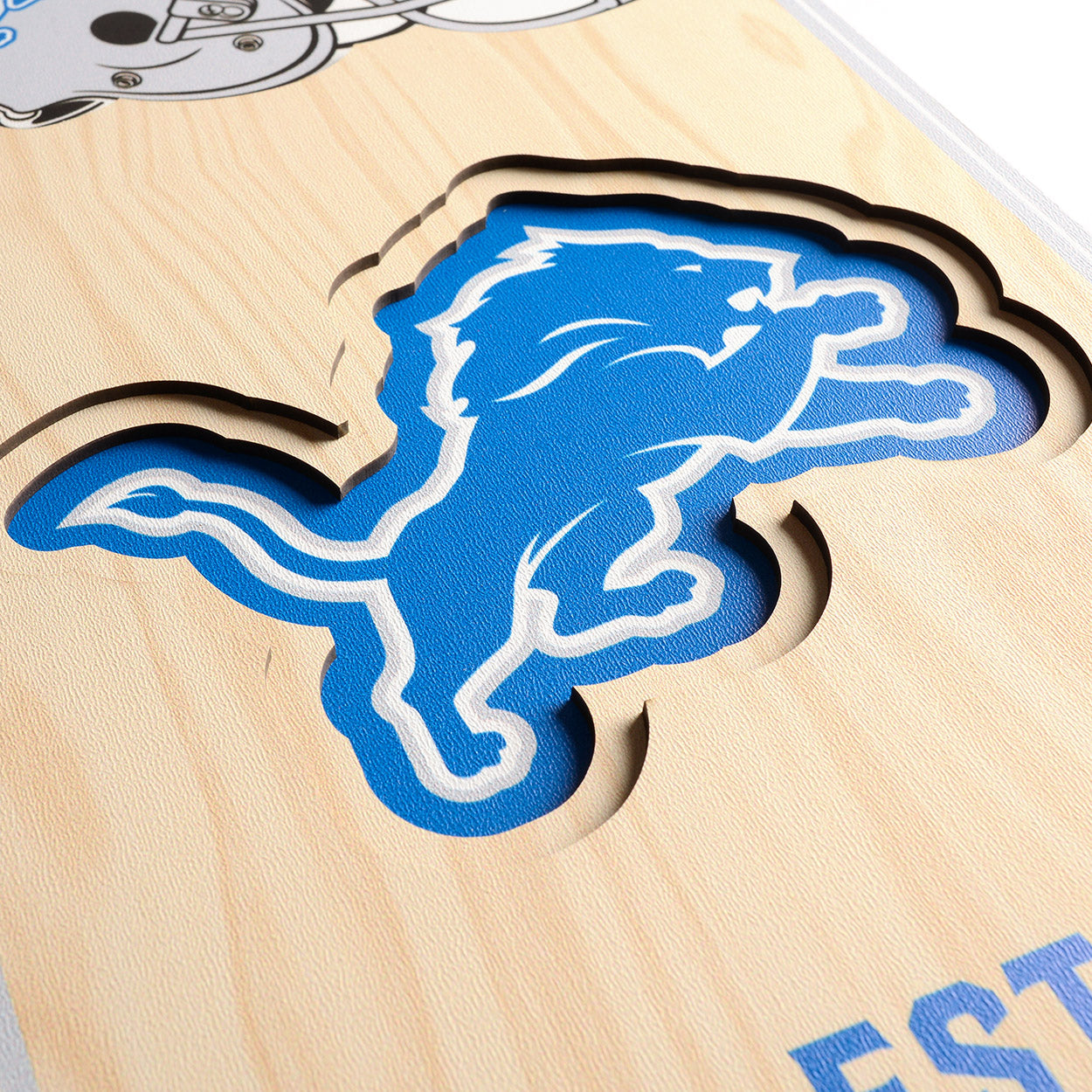 NFL Detroit Lions 3D Stadium Banner 8' X 32'