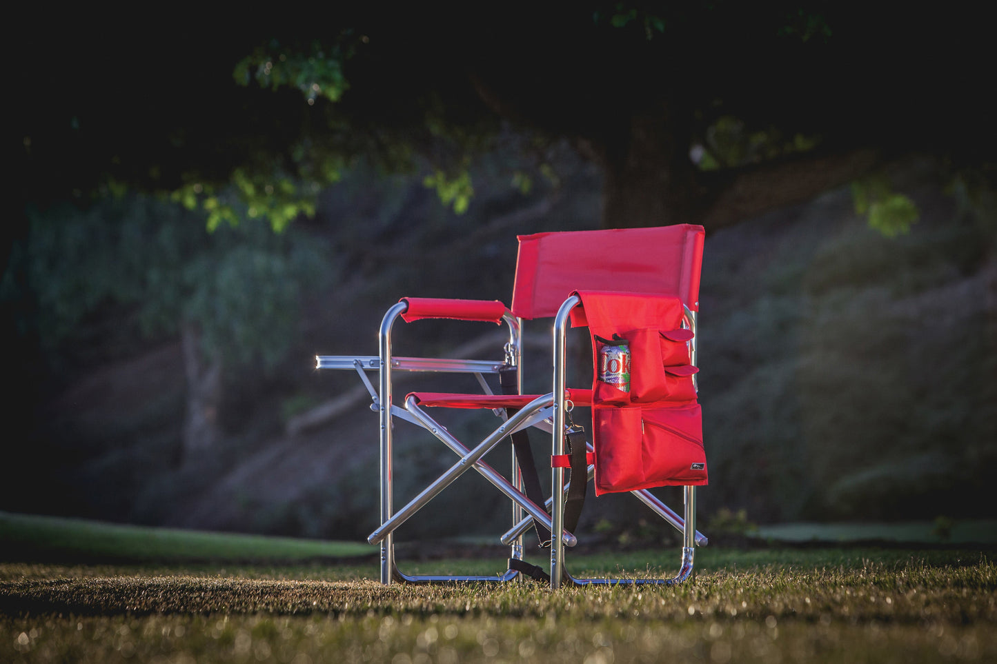 Sports Chair