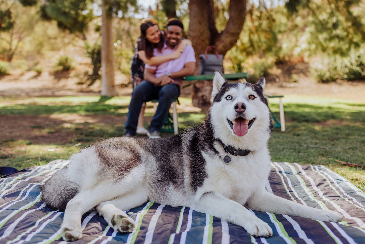 Vista Outdoor Picnic Blanket & Tote