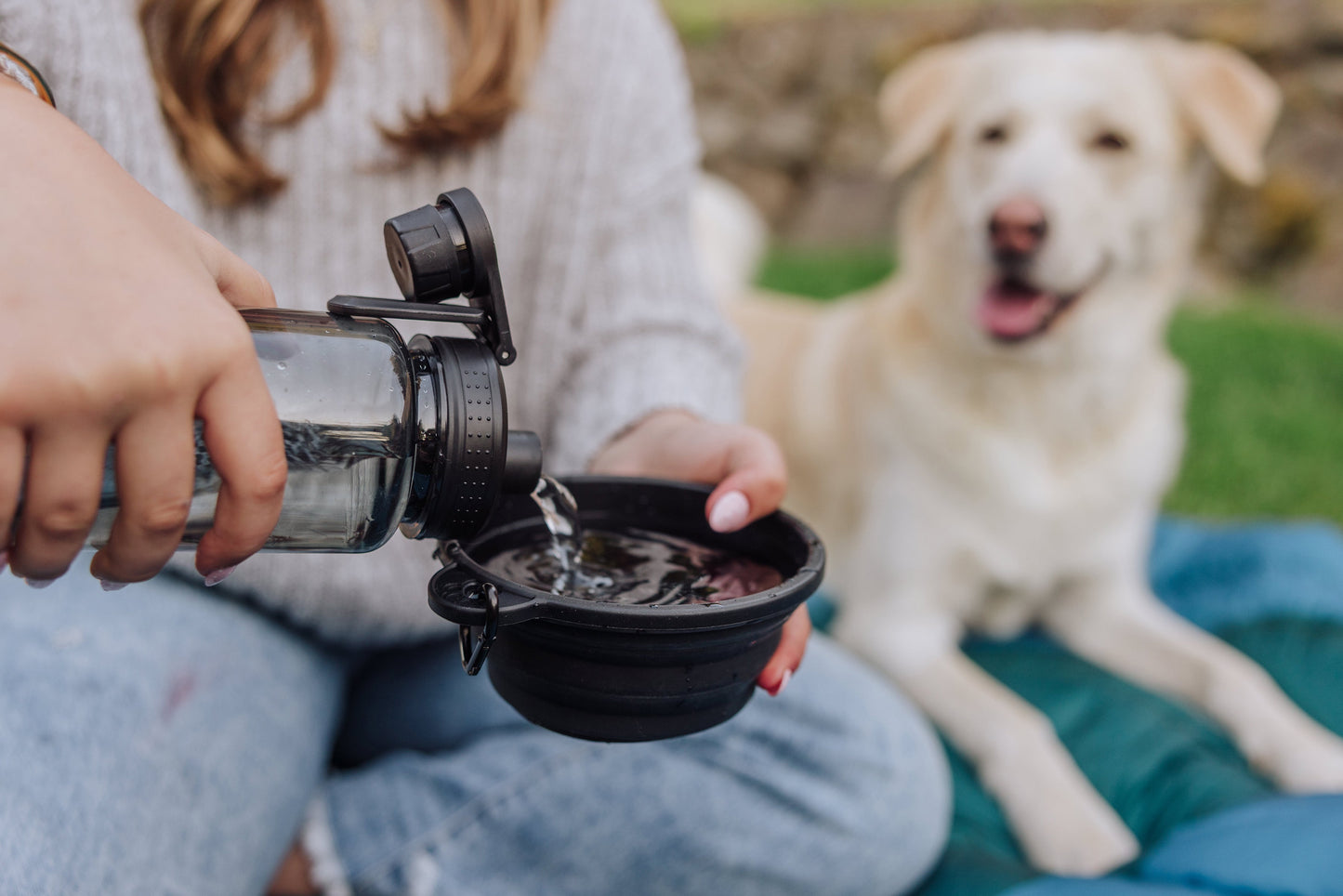Tarana Dog Travel Kit