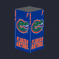 Florida Gators Xbox X/S VarsityWrapz