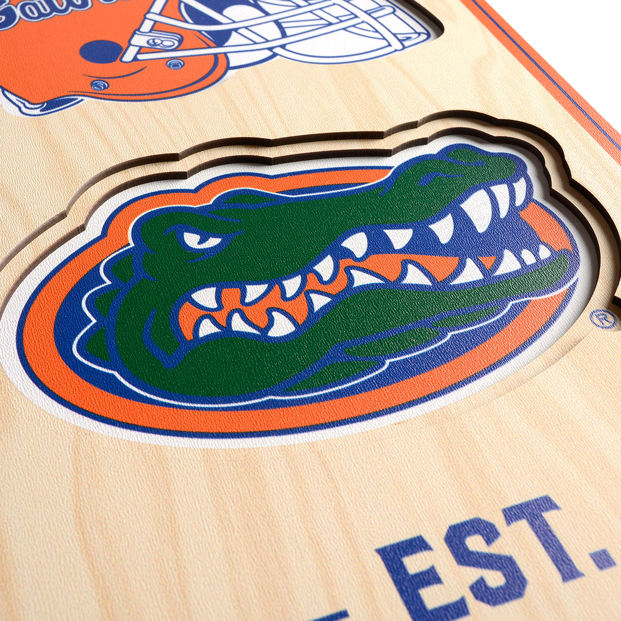 NCAA Florida Gators 3D Stadium Banner 8' X 32'