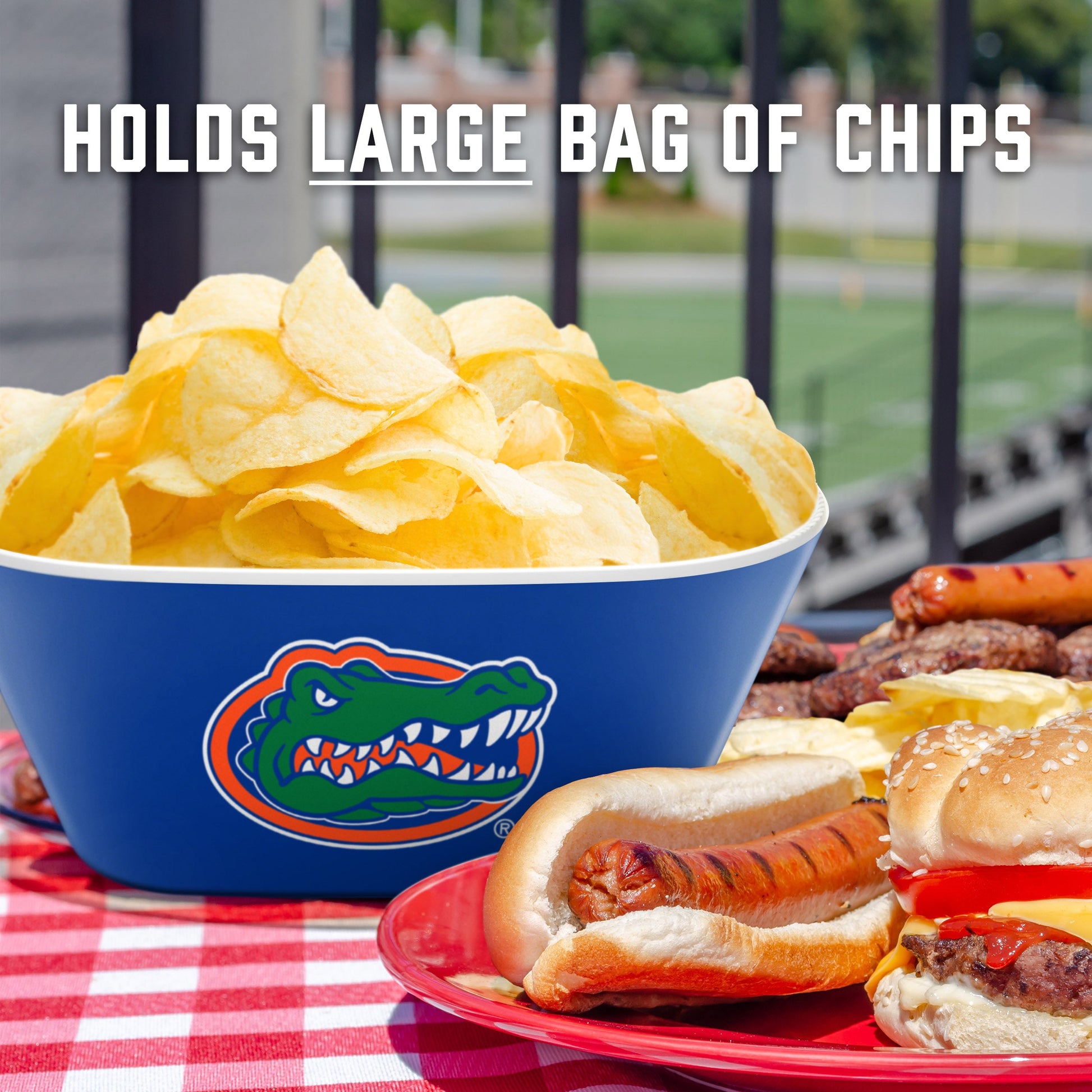Florida Gators Large Party Bowl Alt 4