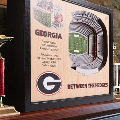NCAA Georgia Bulldogs 25-Layer StadiumView Wallart