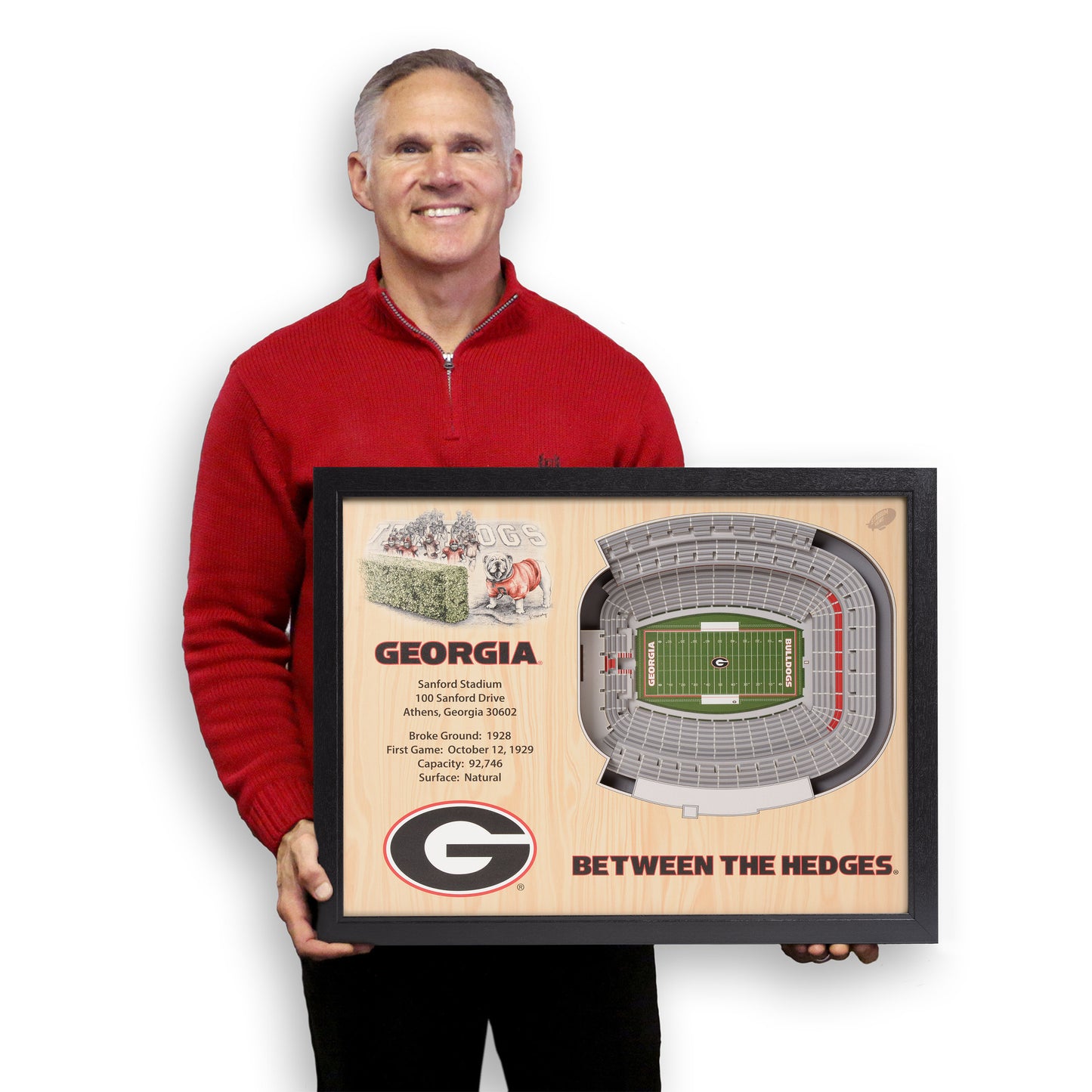 NCAA Georgia Bulldogs 25-Layer StadiumView Wallart
