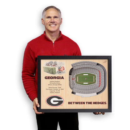NCAA Georgia Bulldogs 25-Layer StadiumView Wallart