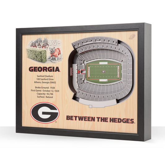NCAA Georgia Bulldogs 25-Layer StadiumView Wallart