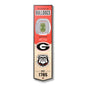 NCAA Georgia Bulldogs 3D Stadium Banner 8' X 32'