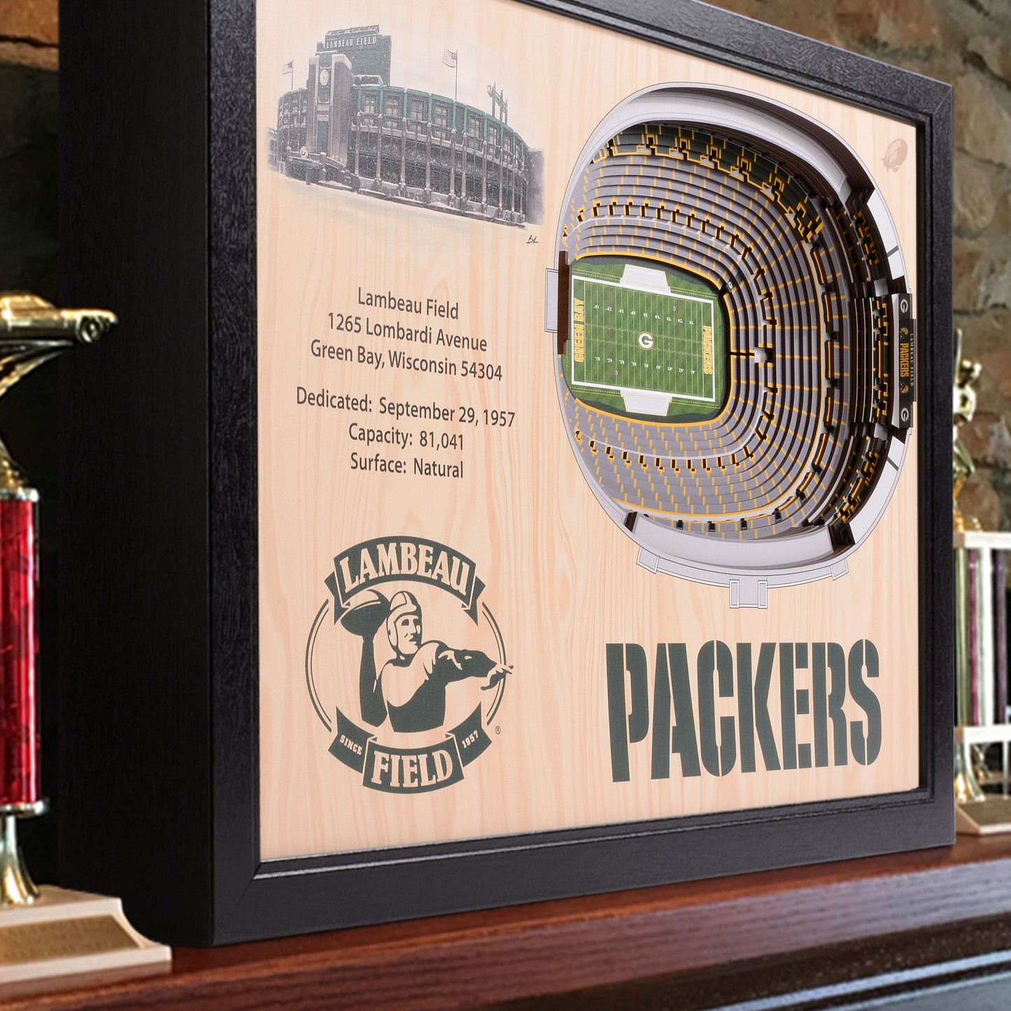 NFL Green Bay Packers 25-Layer StadiumView Wallart