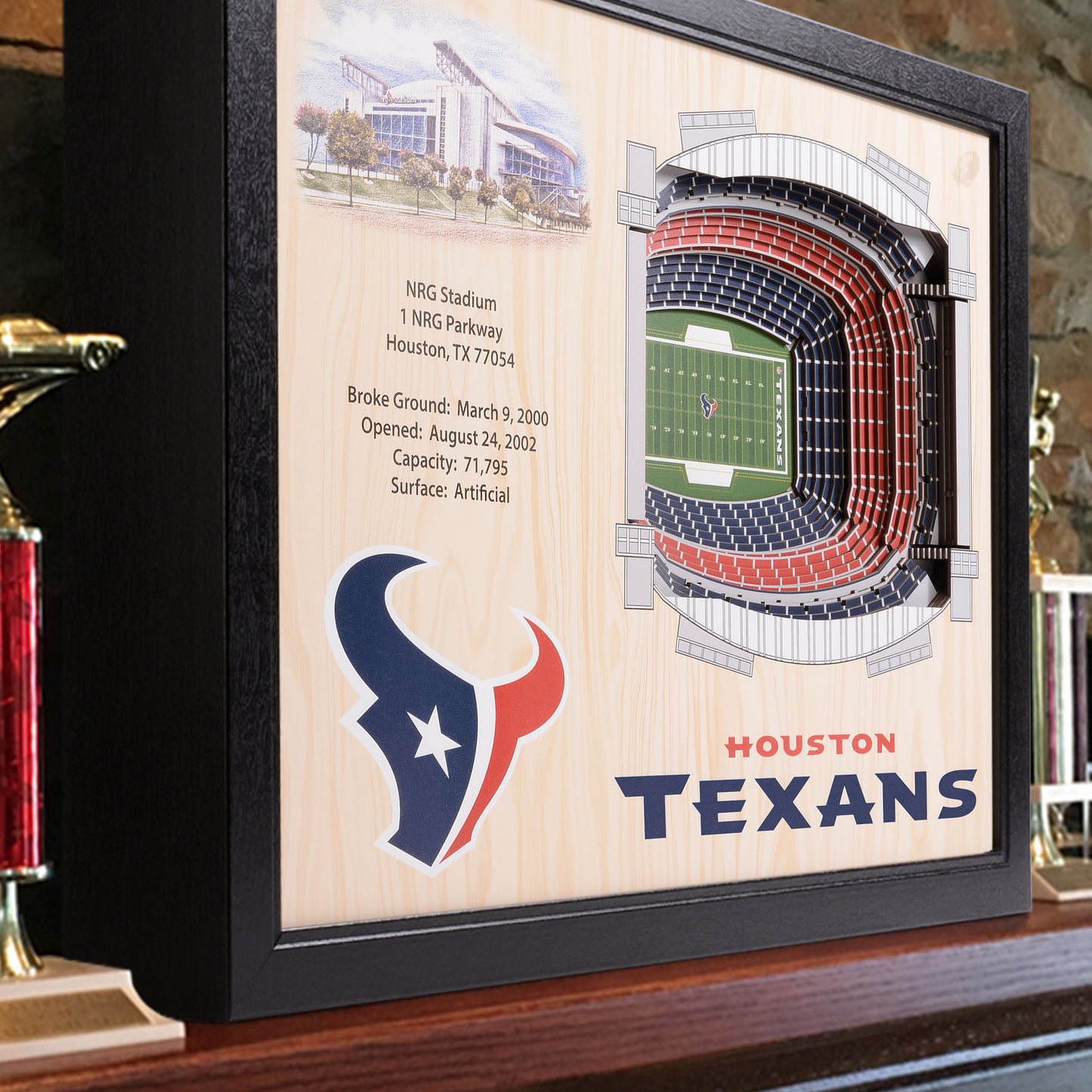 NFL Houston Texans 25-Layer StadiumView Wallart