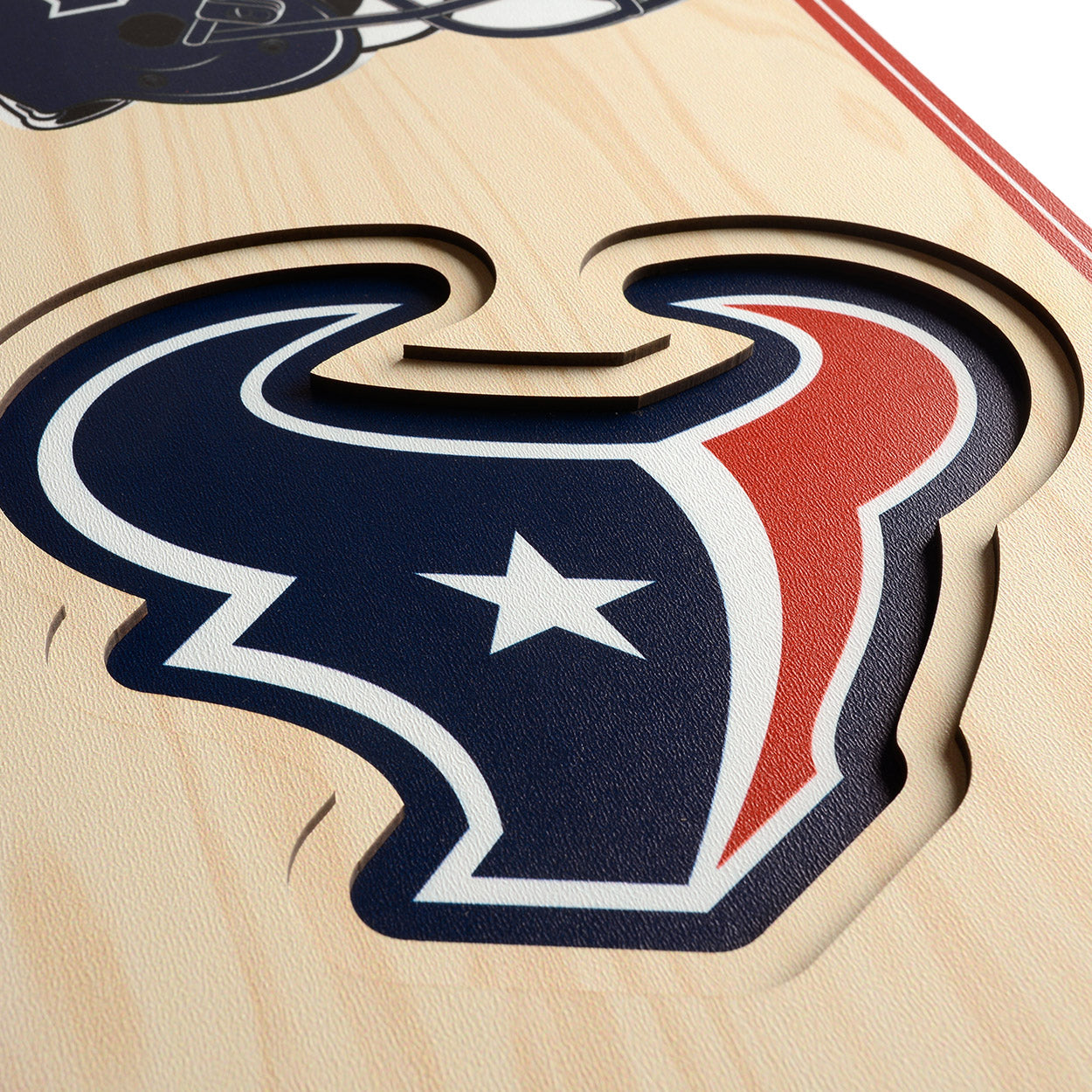 NFL Houston Texans 3D Stadium Banner 8' X 32'
