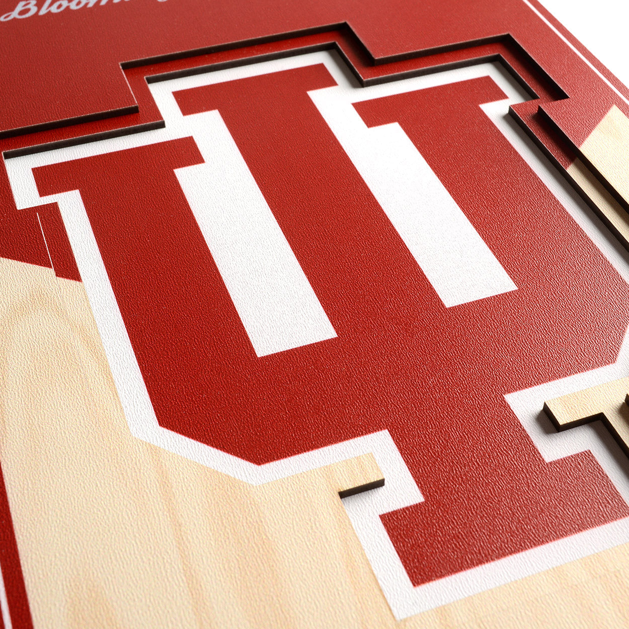 NCAA Indiana Hoosiers 3D Stadium Banner 8' X 32'