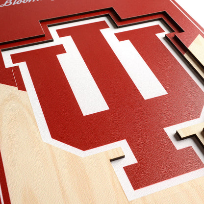 NCAA Indiana Hoosiers 3D Stadium Banner 8' X 32'