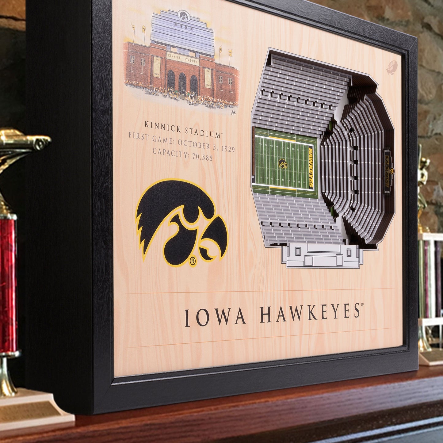 NCAA Iowa Hawkeyes 25-Layer StadiumView Wallart