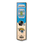 NFL Jacksonville Jaguars 3D Stadium Banner 8' X 32'