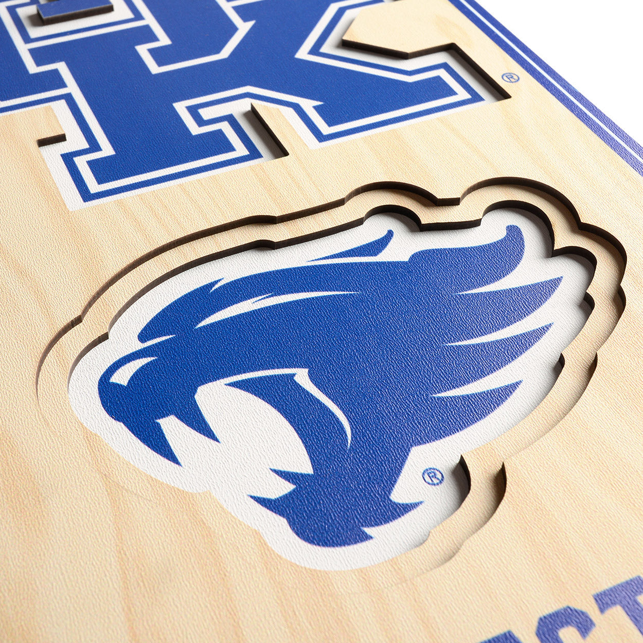 NCAA Kentucky Wildcats 3D Stadium Banner 8' X 32'