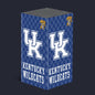 Kentucky Wildcats Xbox VarsityWrapz