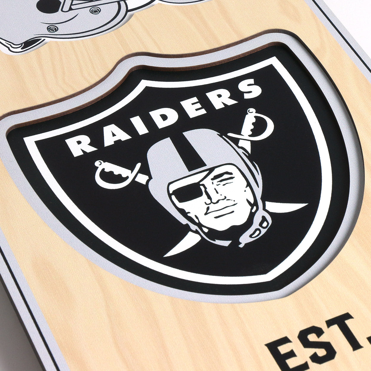 NFL Las Vegas Raiders 3D Stadium Banner 8' X 32'