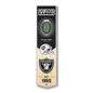 NFL Las Vegas Raiders 3D Stadium Banner 8' X 32'