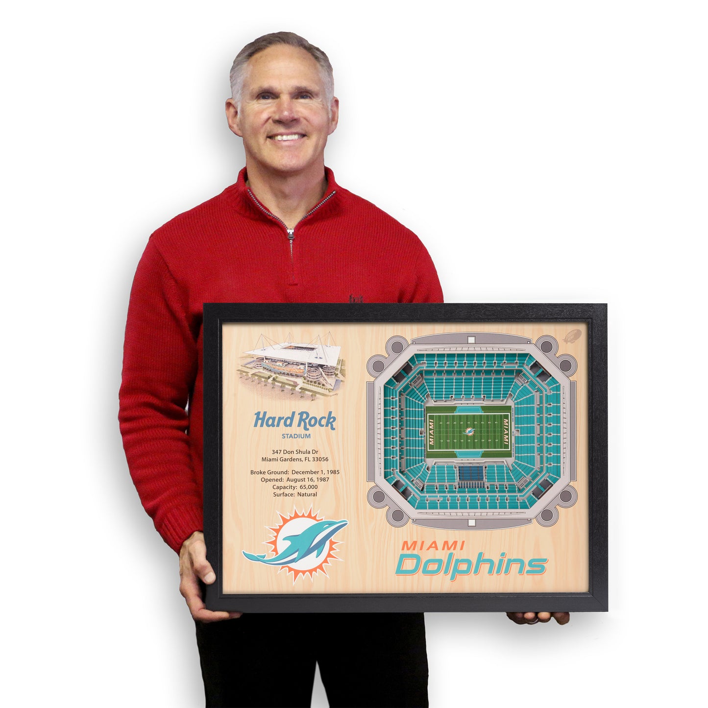 NFL Miami Dolphins 25-Layer StadiumView Wallart